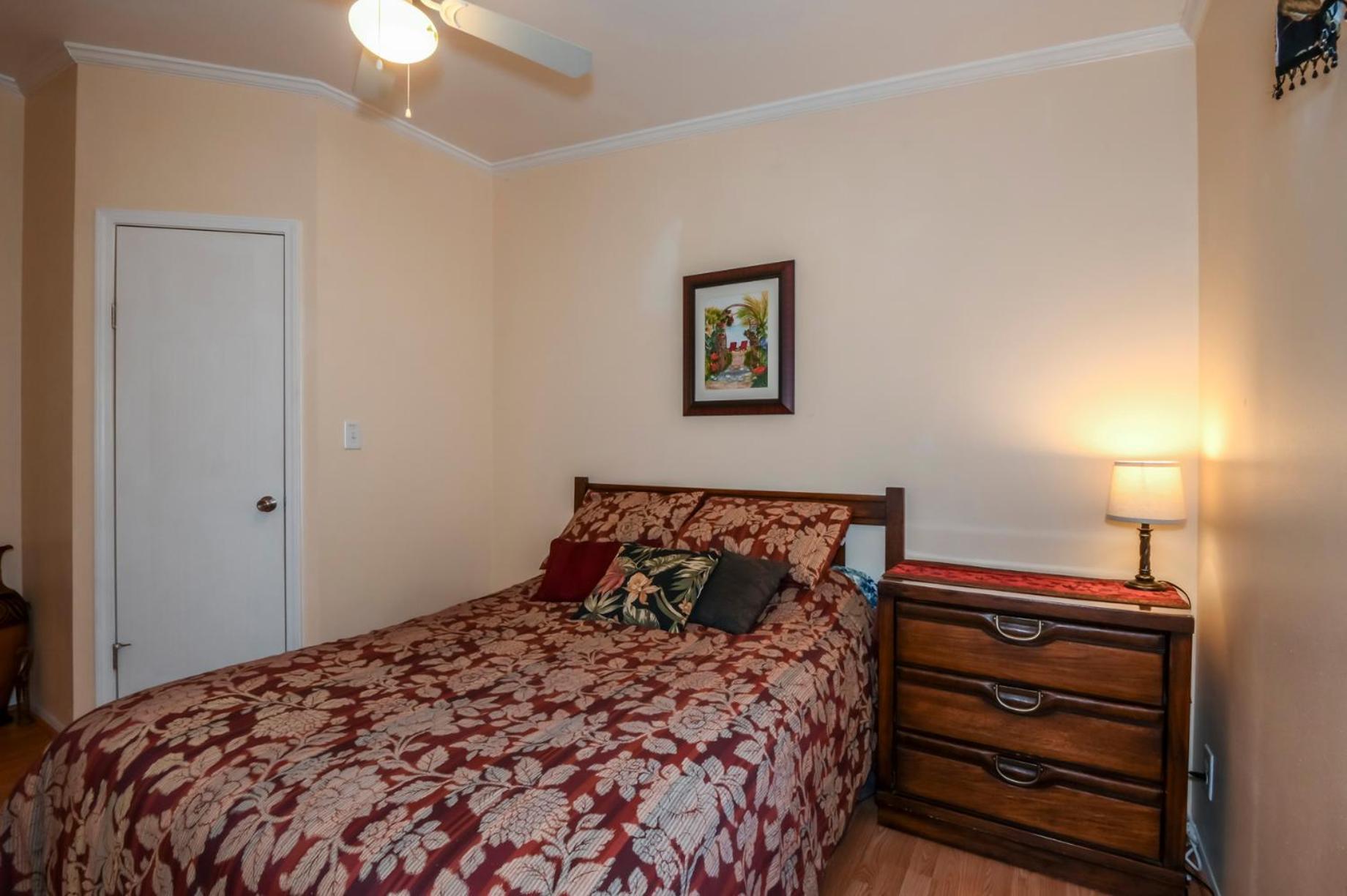 הומוססה The Blue Nile! Your Florida Vacation Is Calling. Vacation, Leisure Or Business מראה חיצוני תמונה
